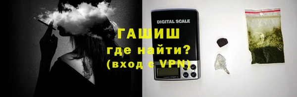 гидра Новозыбков