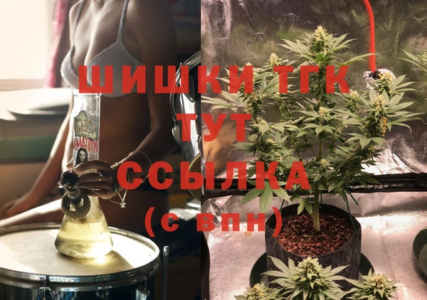 гидра Новозыбков
