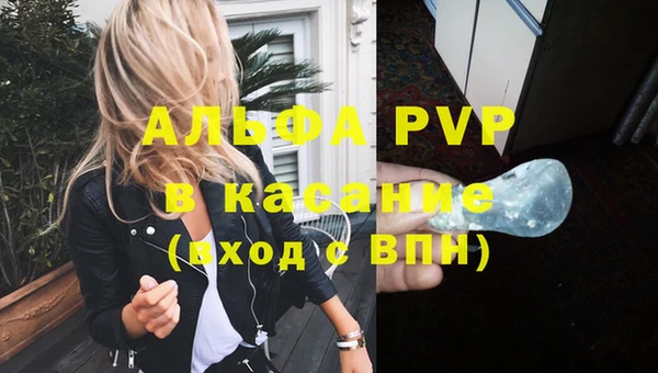 гидра Новозыбков
