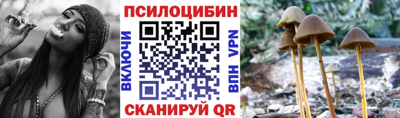магазин  наркотиков  Строитель  Псилоцибиновые грибы Psilocybine cubensis 